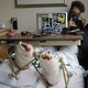 Image for article titled Pool-Jumping Daredevil Needs New Feet After Gruesome Accident